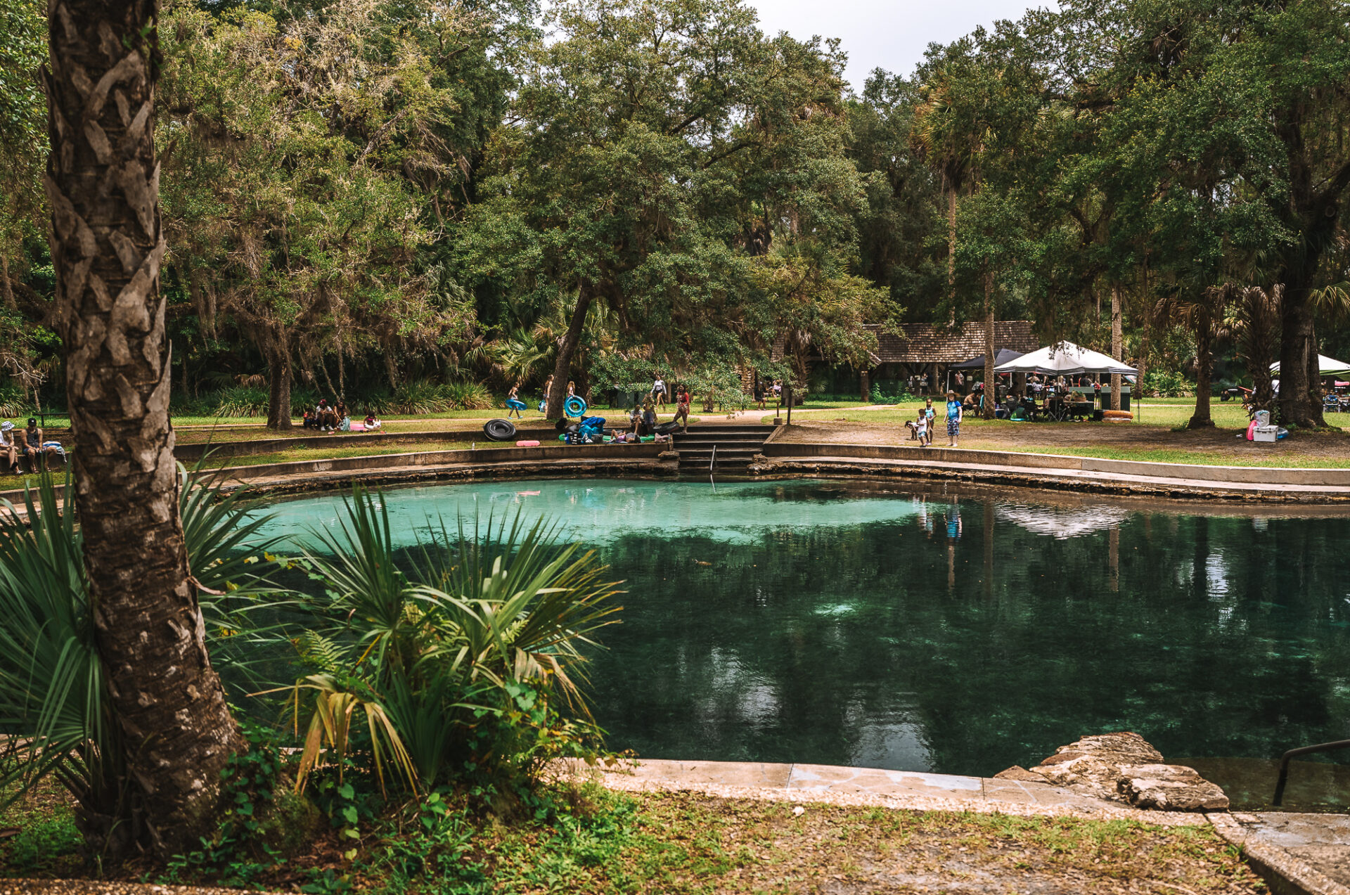 5 Best Springs In Ocala, Florida