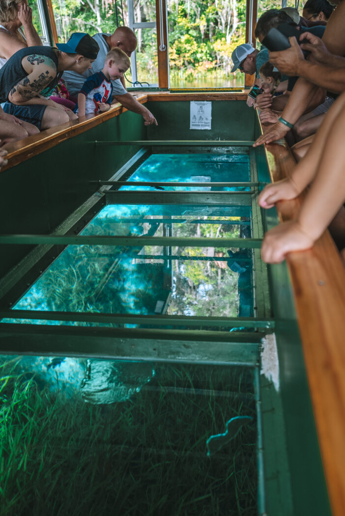 Inside the glass bottom boat