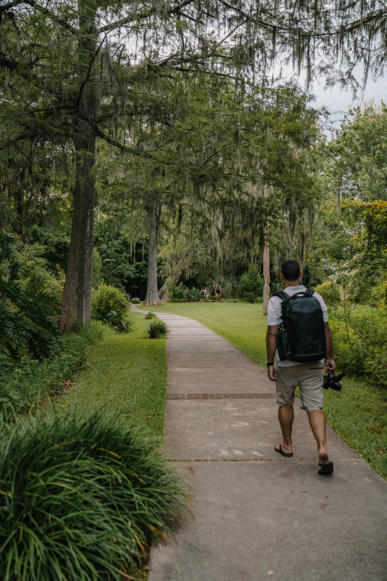 On the trail in Silver Springs State Park