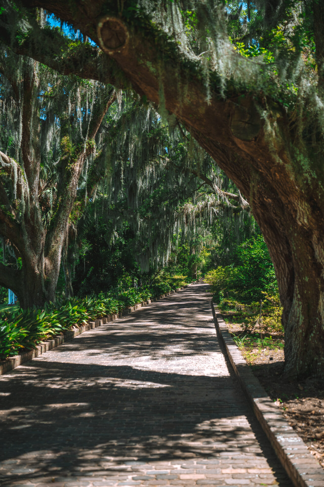 Alfred B. Maclay Gardens State Park
