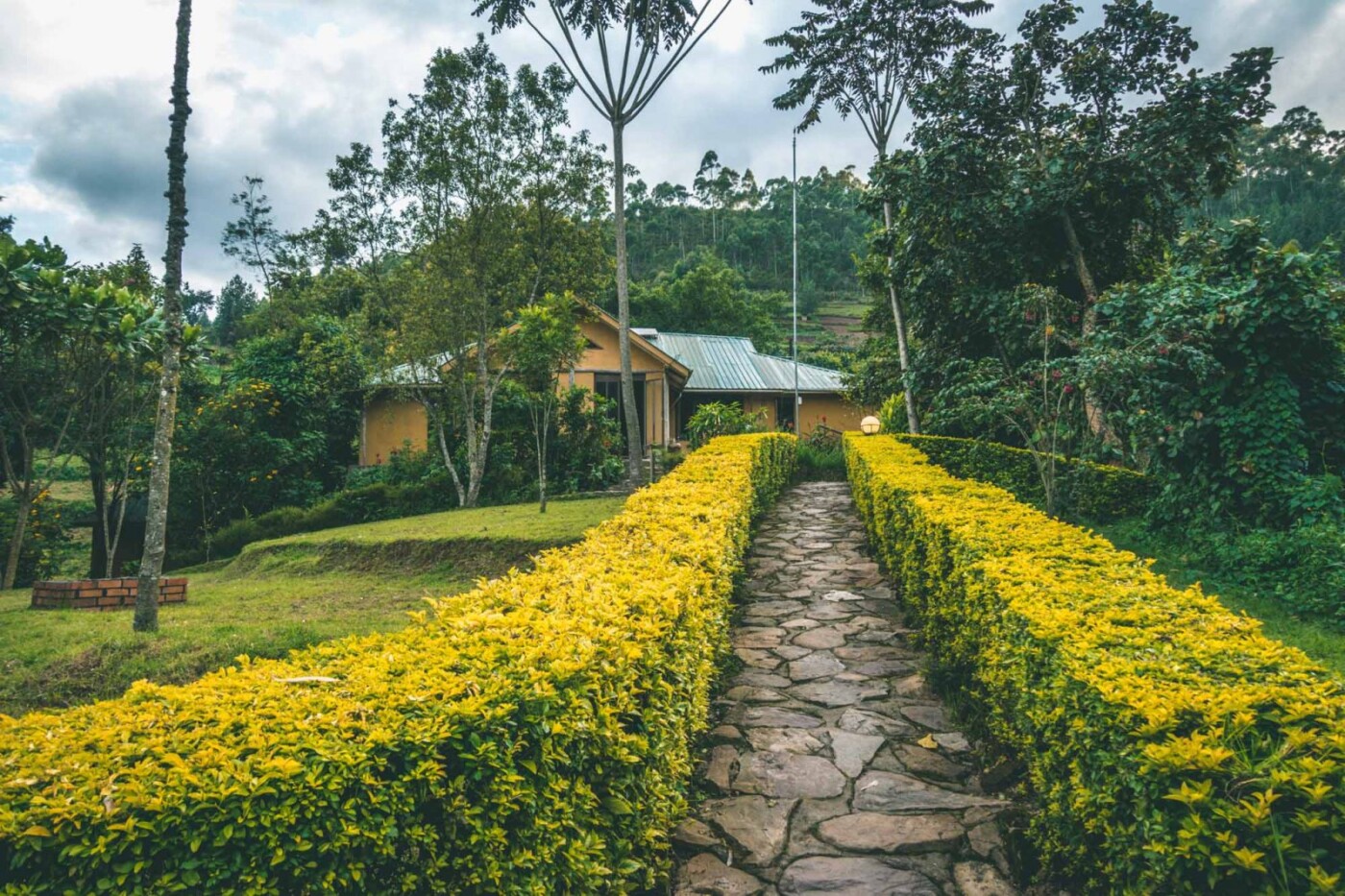 Gorilla safari lodge