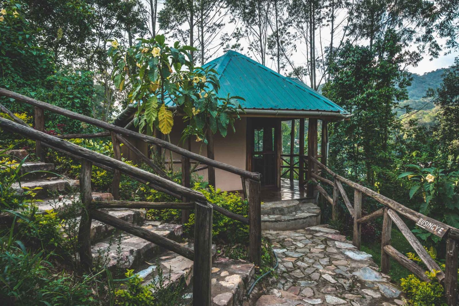 Uganda Bwindi Gorilla Safari lodge cabin 03464