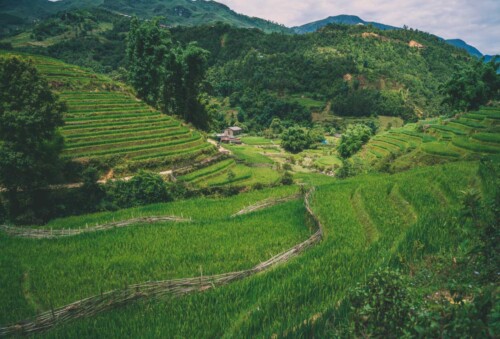 Vietnam Sapa-0292