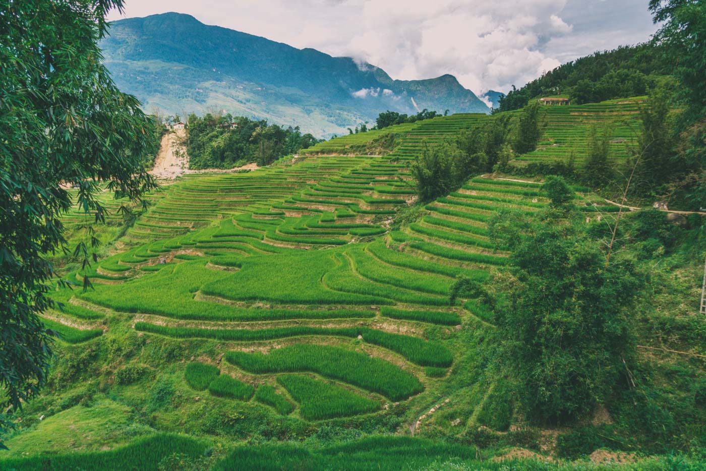 Top Things to do in Vietnam for a Responsible Traveler