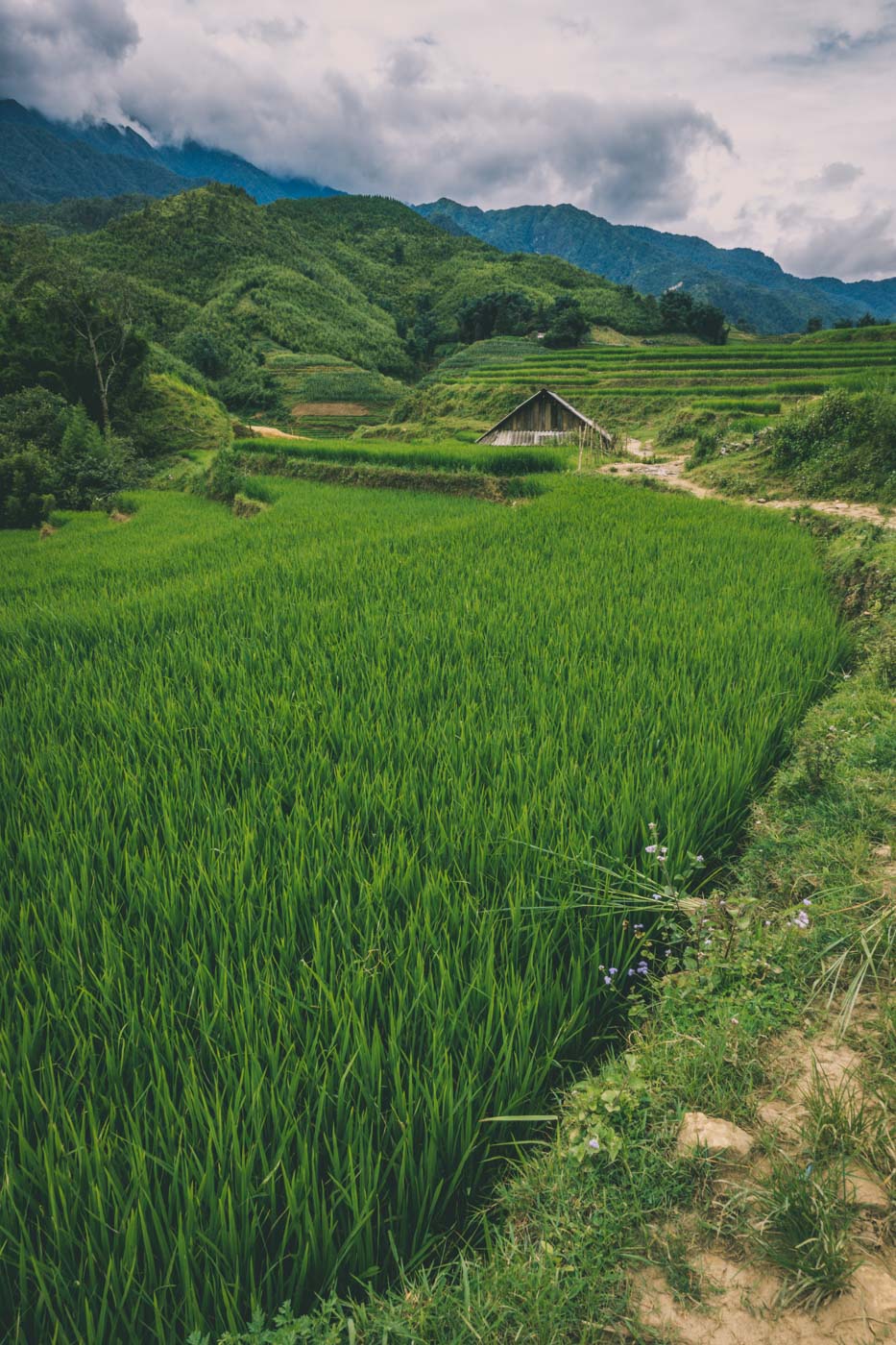 A peaceful and scenic view of Sapa