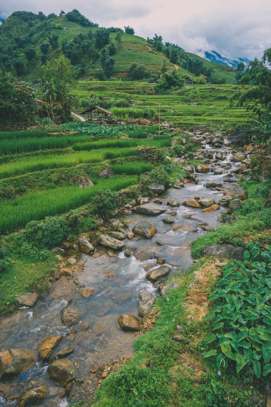 sapa trekking