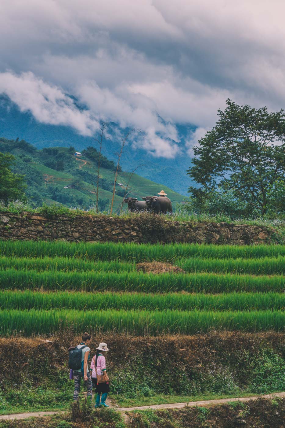 Vietnam Sapa trek guide Oksana 0390