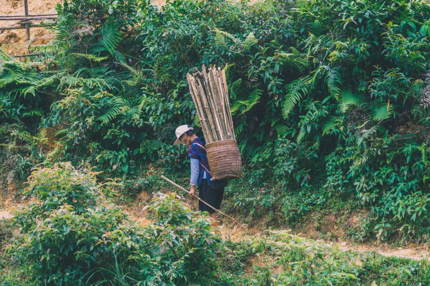 Vietnam Sapa trek local woman 0339