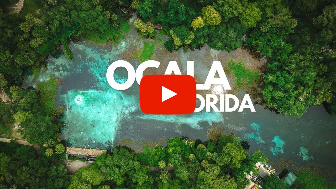 Visiting Ocala, Florida | Scenic Highlights | 2023