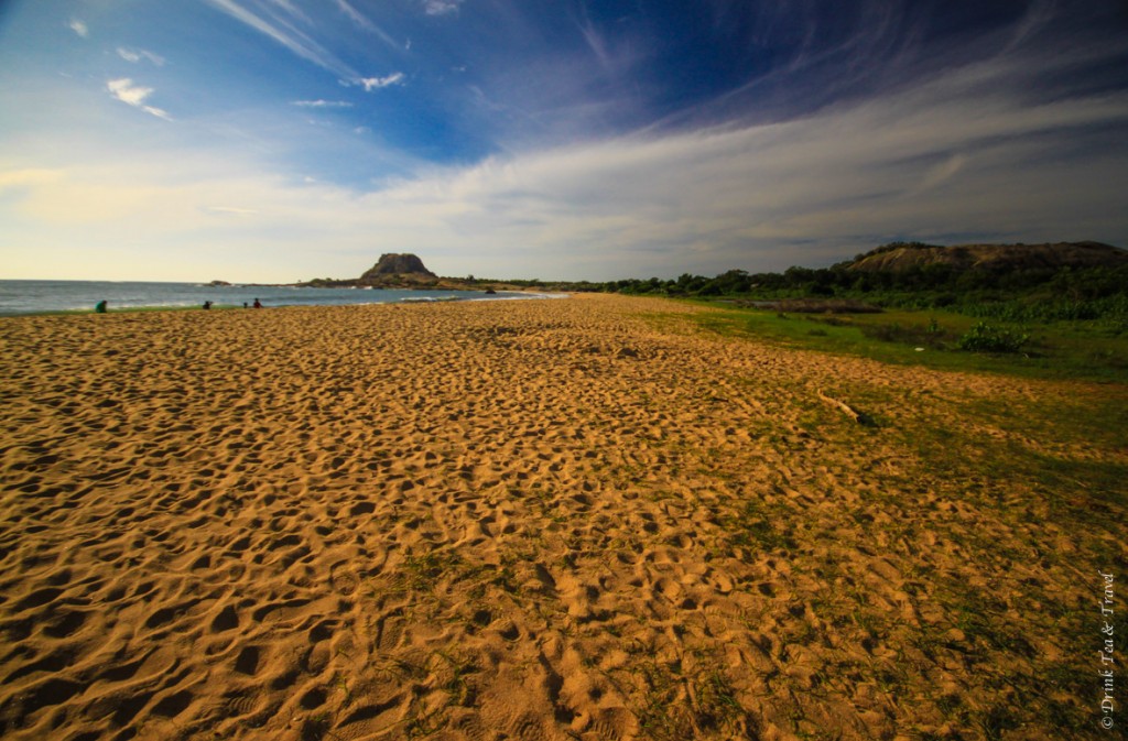 The vast flora of Yara National Park: beaches, forests and mountains seen in the distance