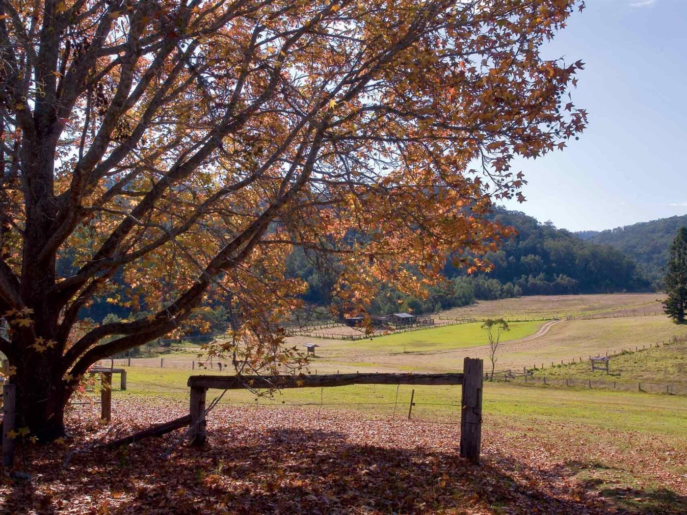 yengo national park