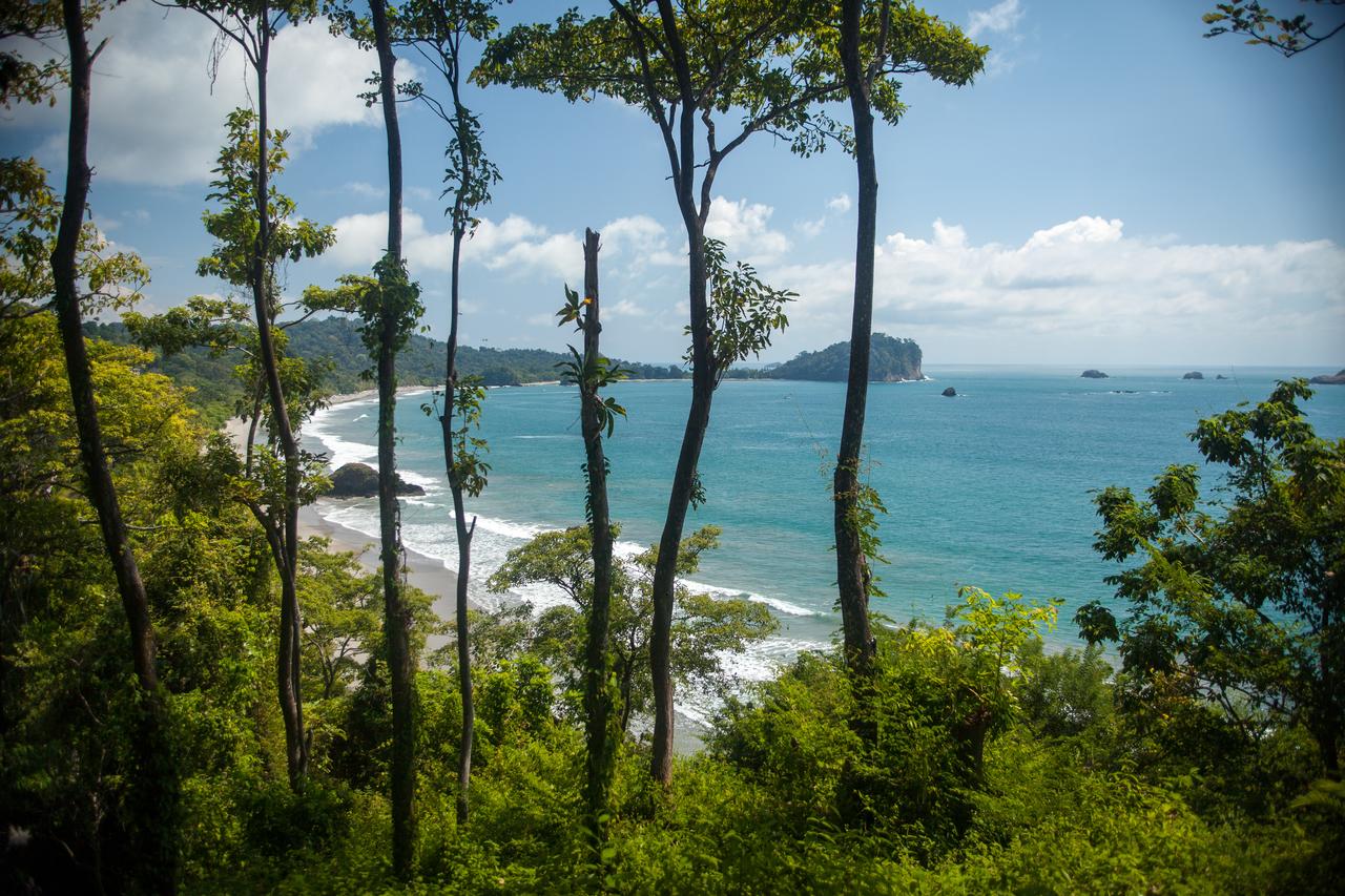 Eco Hotels in Manuel Antonio: Arenas Del Mar