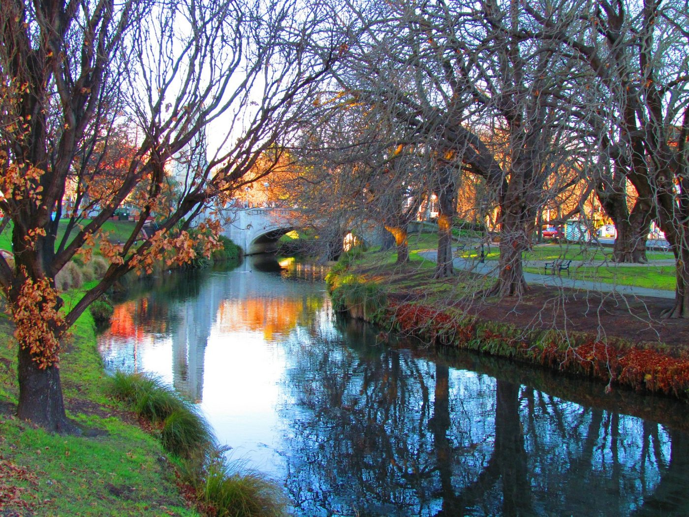 Things to do in Christchurch New Zealand, go see the Botanic Garden