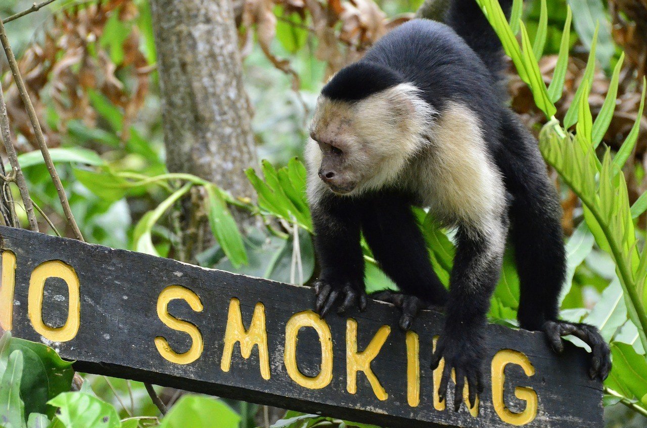 Guide to Visiting Puerto Viejo Costa Rica