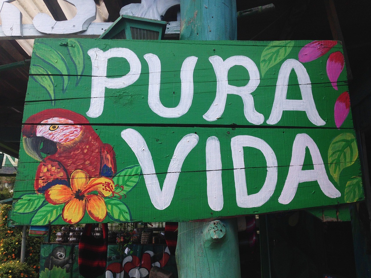 pura vida meaning