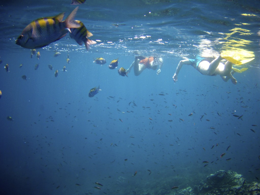 costa rica, snorkeling, caño island