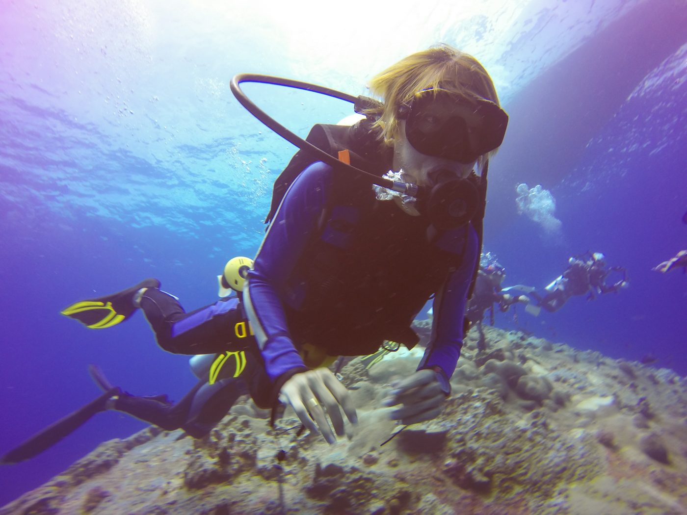 costa rica scuba diving best time