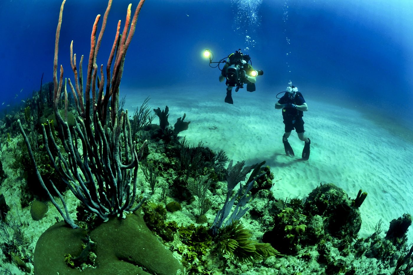 costa rica versus cancun for scuba diving