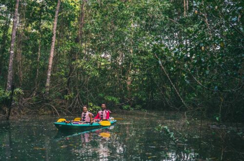 Costa Rica itinerary: Kayaking in the mangroves of Osa Peninsula