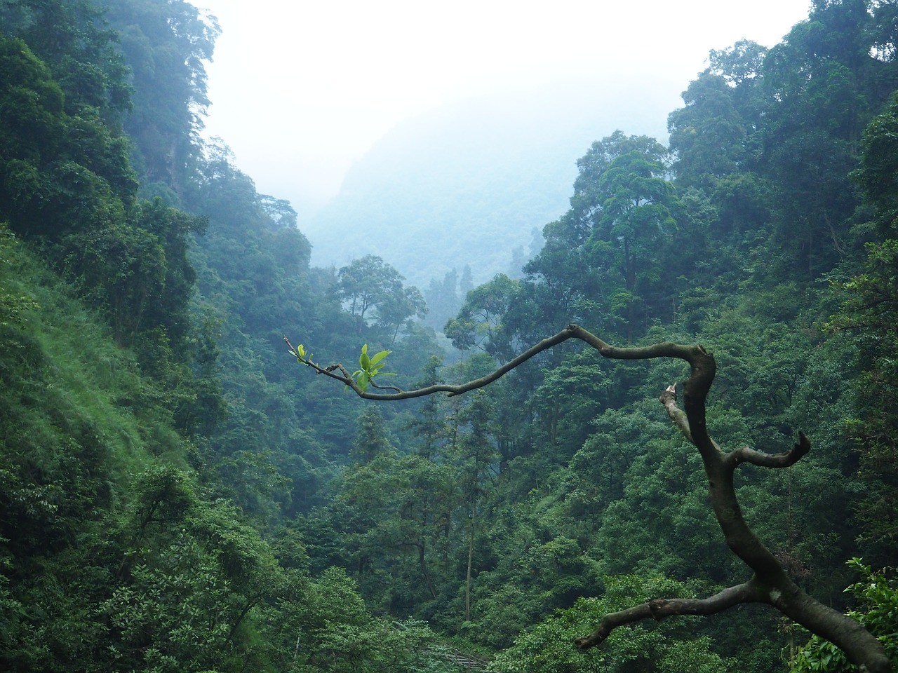 Beautiful places in China: Emeishan