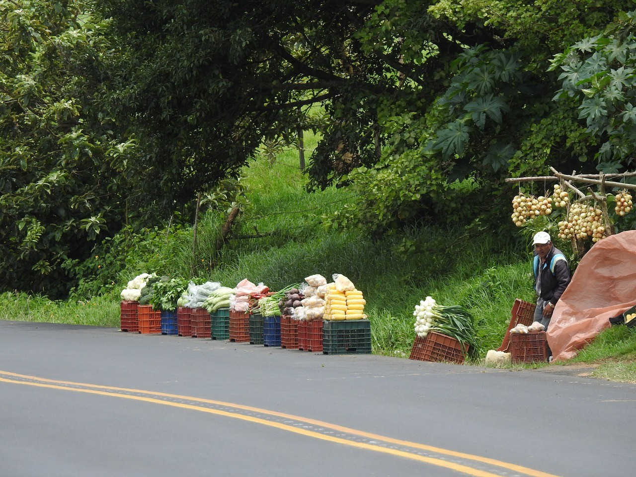 Puerto Jimenez: Roadside Costa Rican produce