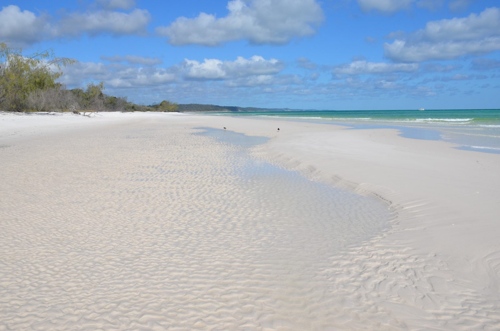 Fraser Island tour