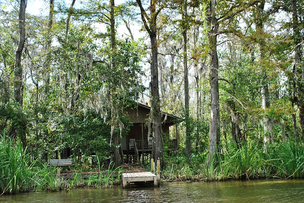 honey island swamp nola 1
