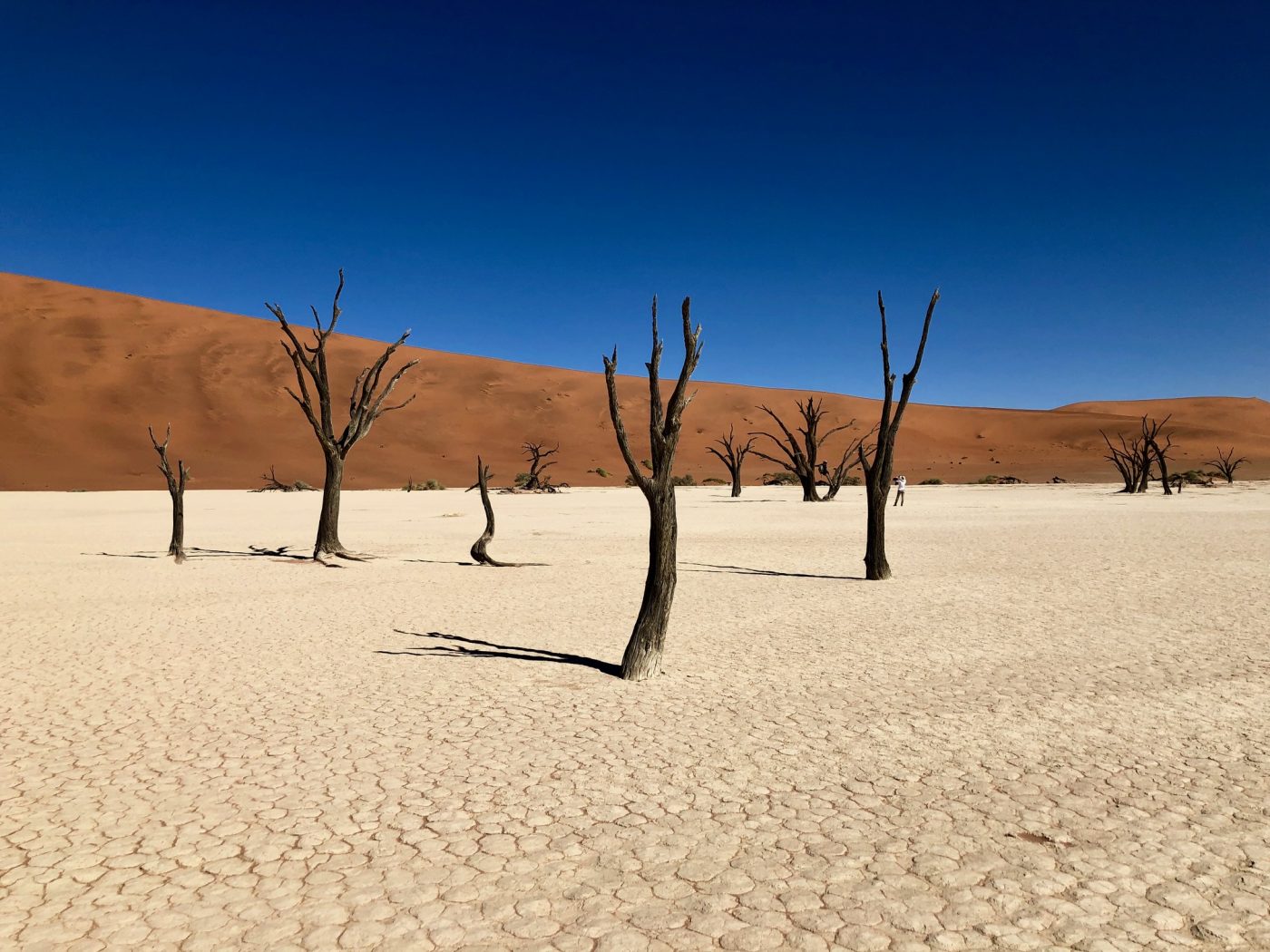 Namibia's Namib-Naukluft National Park