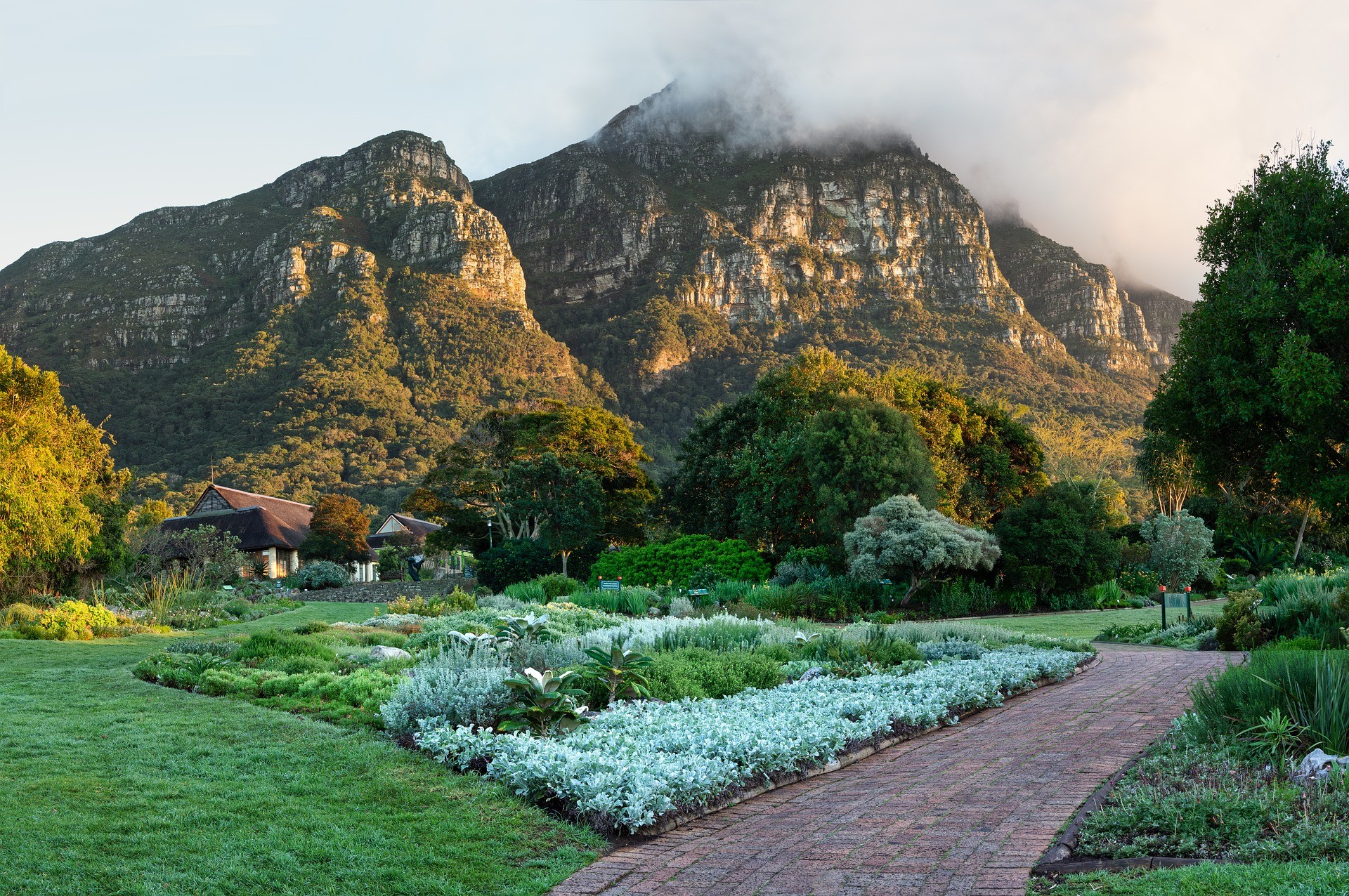 Kirstenbosch Botanical Gardens, Cape Town