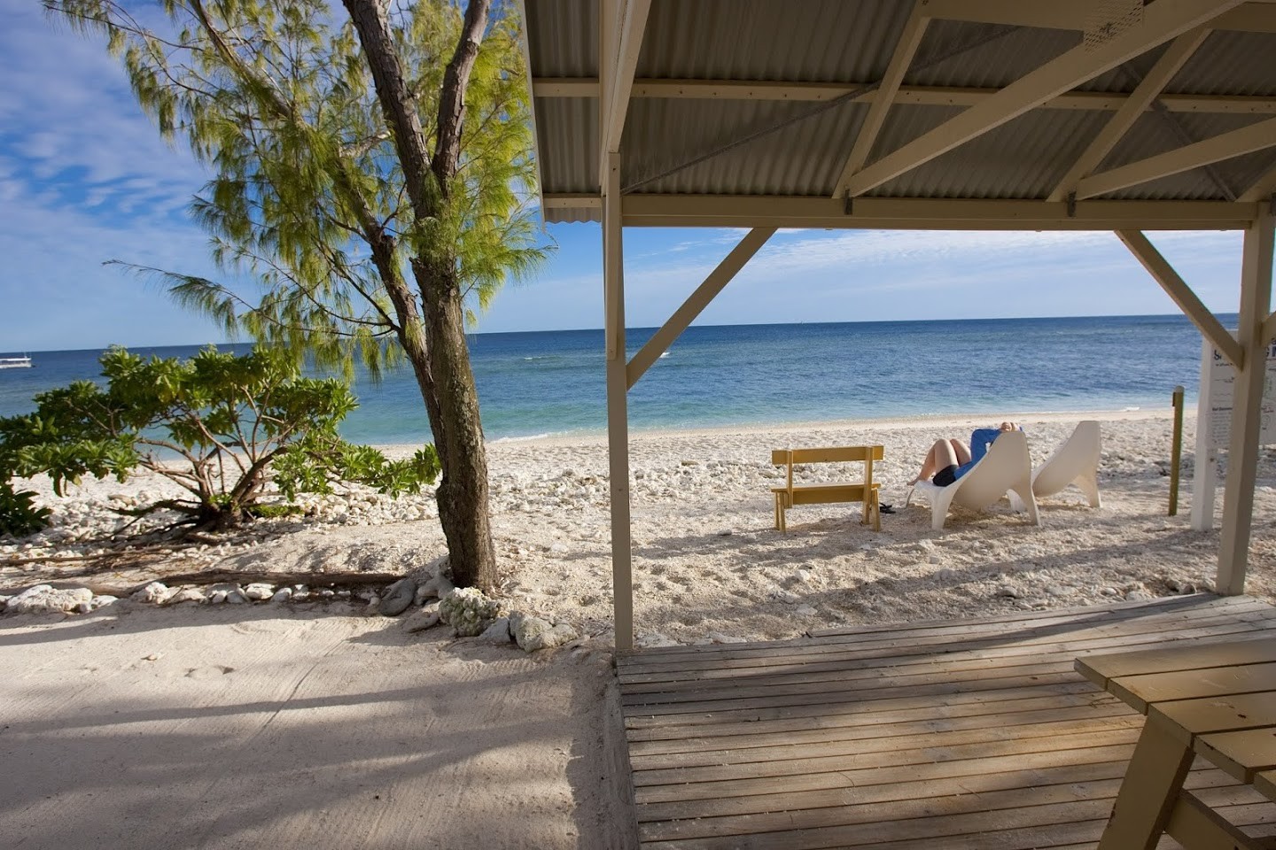 Things to do in Brisbane: Private beach at Lady Elliot Island Eco Resort. Photo by Lady Elliot Island Eco Resort. 