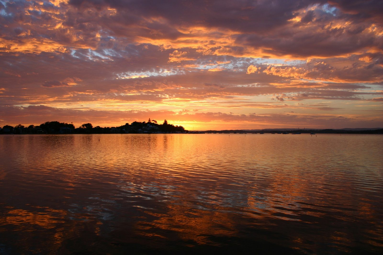 Things to do in Newcastle NSW: The sunset over Lake Macquarie