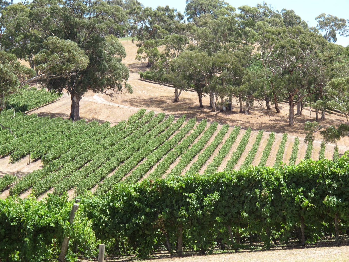 wine regions in Australia