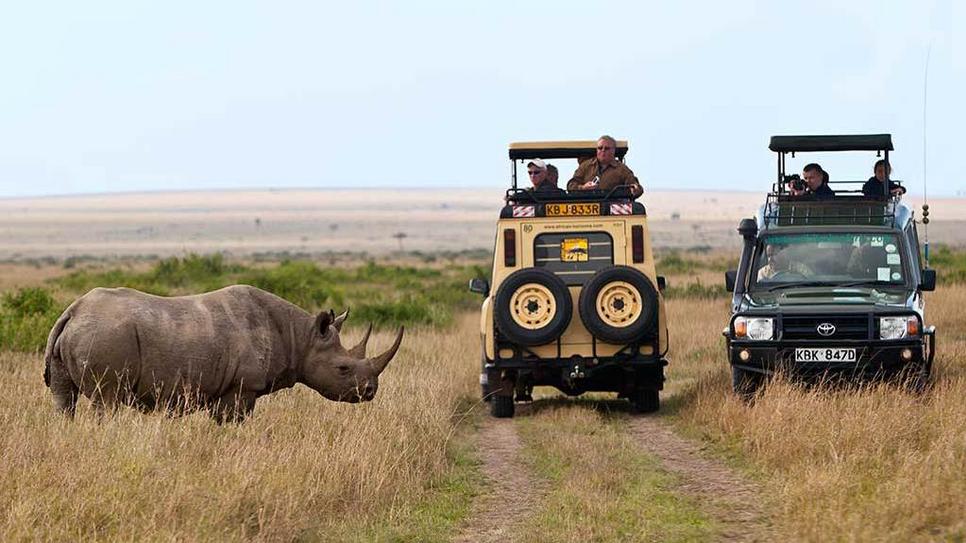 Masai Mara National Park Safari