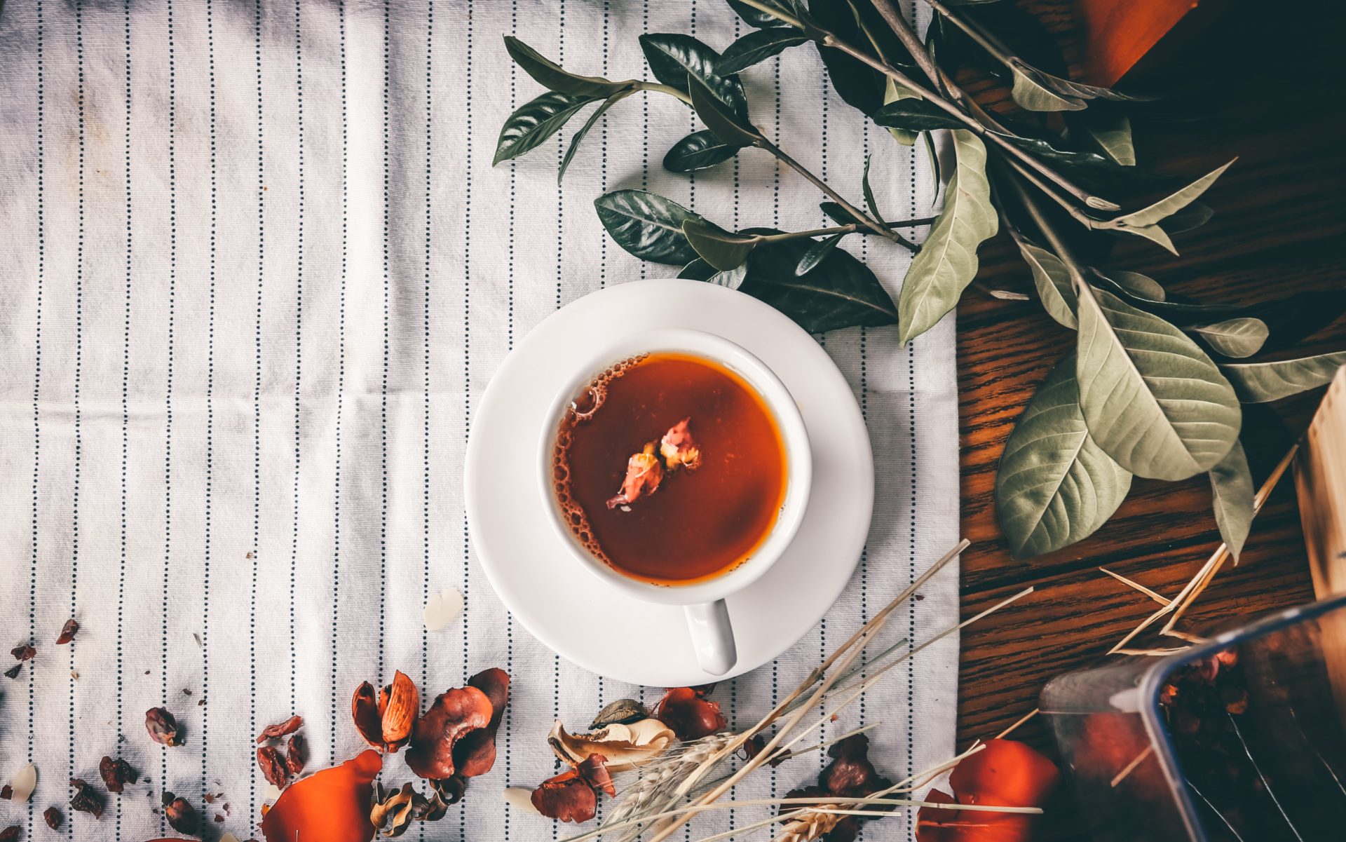 The Best Organic Tea Brands That You Need To Know About
