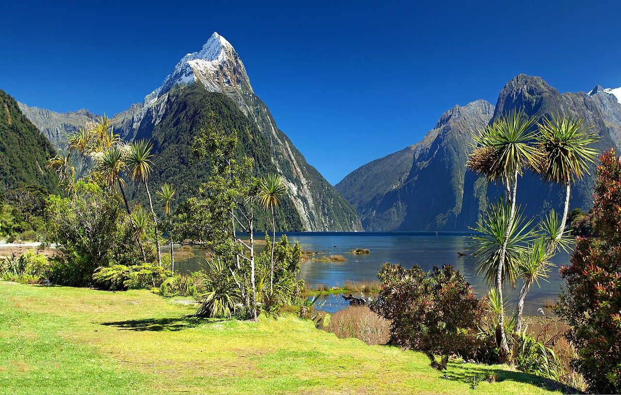 Milford Sound, Fiordland National Park 