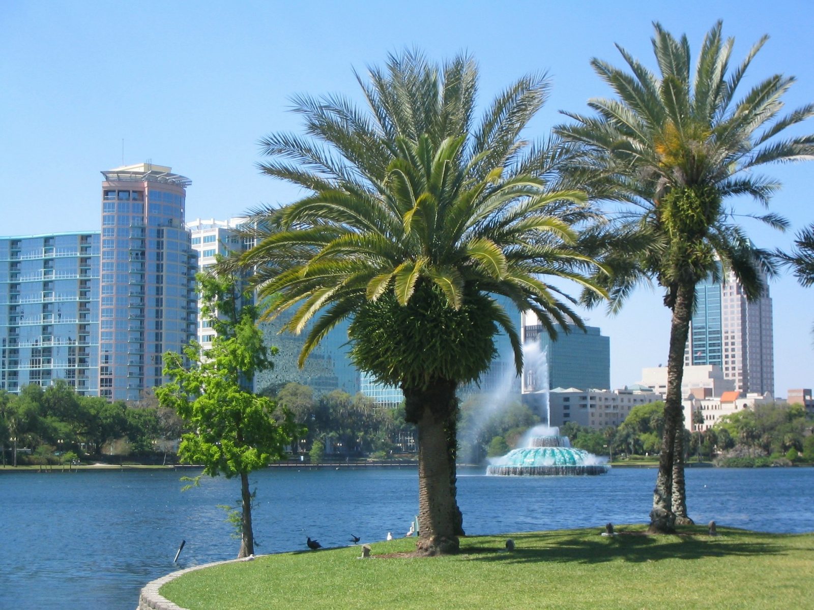 What to do in Orlando: Lake Eola, Orlando. A popular stop on Orlando city tours.