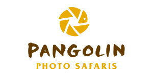 pangolin_logo_large_802_5d776806f19a0