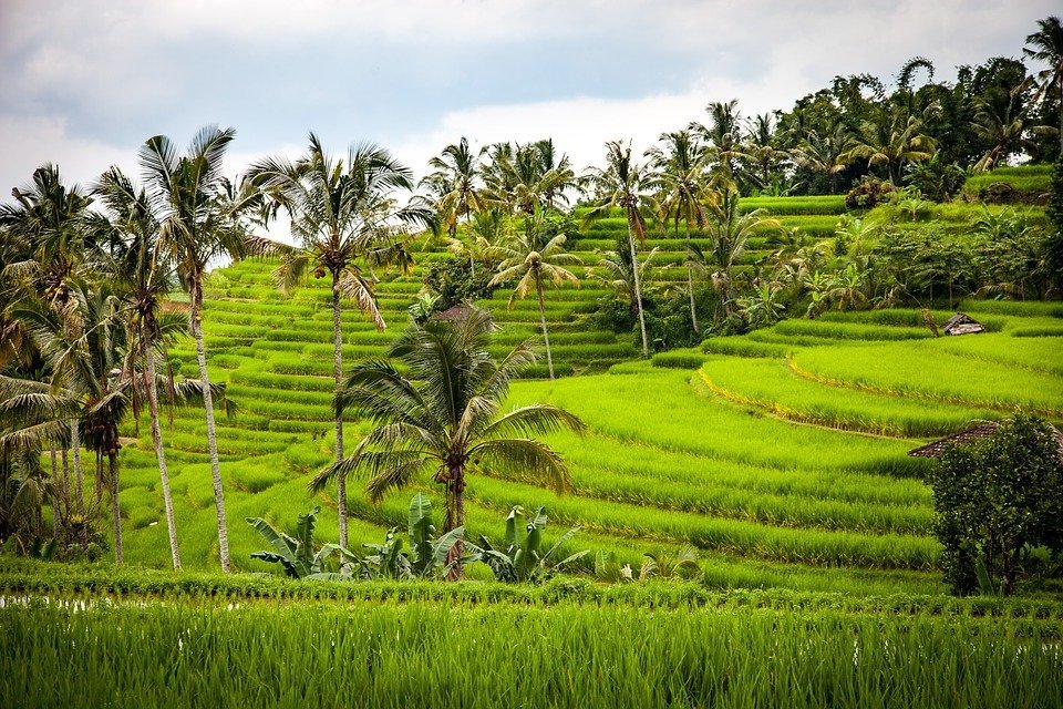 Add this to your Bali itinerary