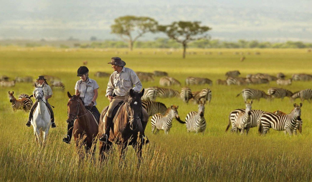 Serengeti National Park, Tanzania, Africa
