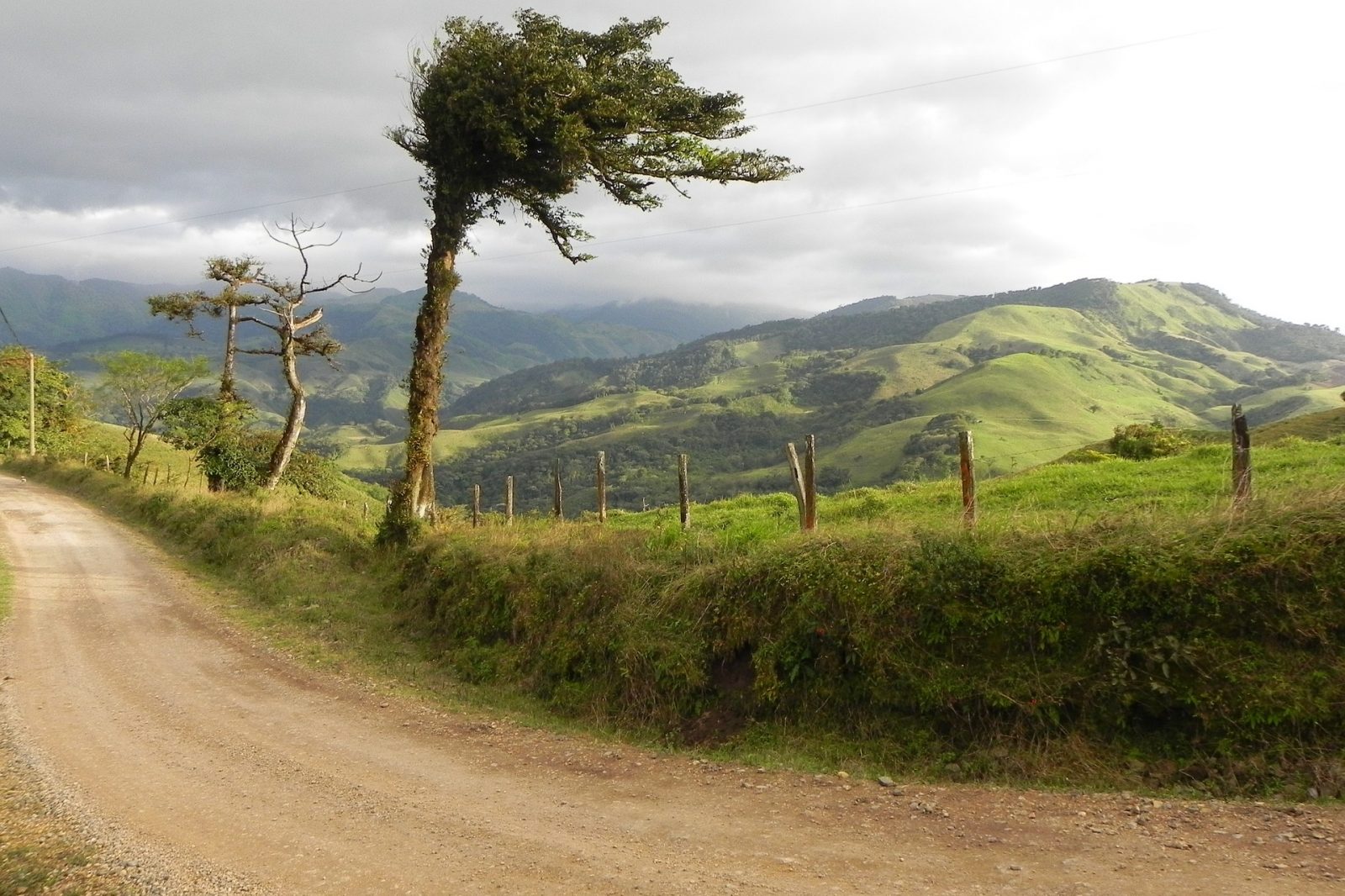 Driving in Costa Rica can be a bit challenging at times